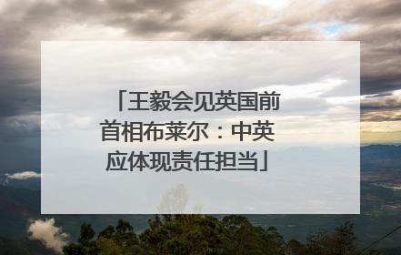 王毅会见英国前首相布莱尔：中英应体现责任担当