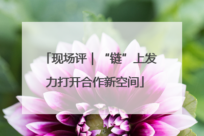 现场评｜“链”上发力打开合作新空间