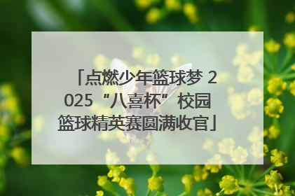 点燃少年篮球梦 2025“八喜杯”校园篮球精英赛圆满收官