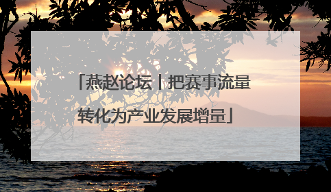 燕赵论坛丨把赛事流量转化为产业发展增量