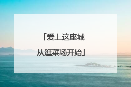 爱上这座城 从逛菜场开始