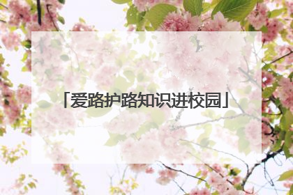 爱路护路知识进校园