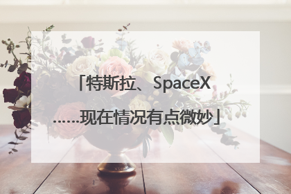 特斯拉、SpaceX……现在情况有点微妙
