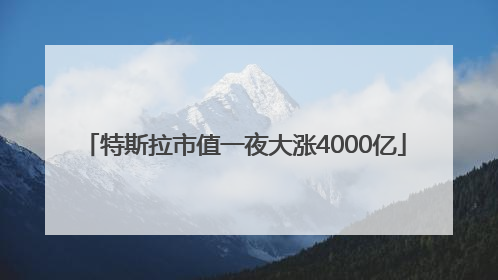 特斯拉市值一夜大涨4000亿