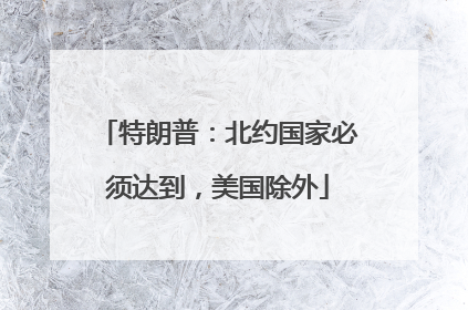 特朗普：北约国家必须达到，美国除外
