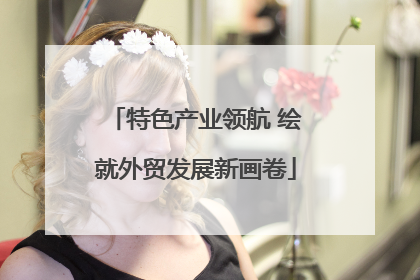特色产业领航 绘就外贸发展新画卷