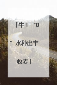 牛！“0”水种出丰收麦