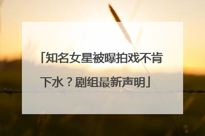 知名女星被曝拍戏不肯下水？剧组最新声明