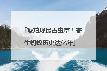 琥珀现最古虫草！寄生蚂蚁历史达亿年