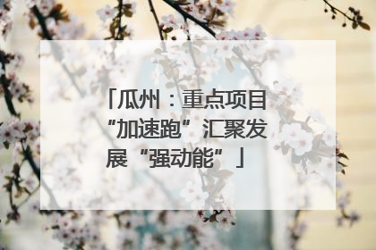 瓜州：重点项目“加速跑”汇聚发展“强动能”