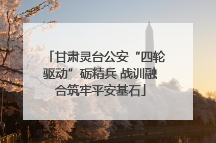 甘肃灵台公安“四轮驱动”砺精兵 战训融合筑牢平安基石