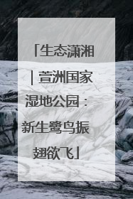 生态潇湘｜萱洲国家湿地公园：新生鹭鸟振翅欲飞