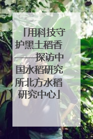 用科技守护黑土稻香——探访中国水稻研究所北方水稻研究中心
