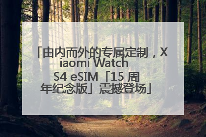 由内而外的专属定制，Xiaomi Watch S4 eSIM「15 周年纪念版」震撼登场