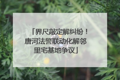 界尺敲定解纠纷！唐河法警联动化解邻里宅基地争议