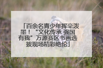 百余名青少年挥毫泼墨！“文化传承 强国有我”万源赛区书画选拔现场精彩绝伦