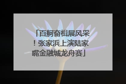 百舸奋楫展风采！张家浜上演陆家嘴金融城龙舟赛