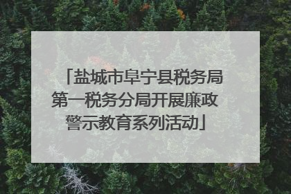 盐城市阜宁县税务局第一税务分局开展廉政警示教育系列活动