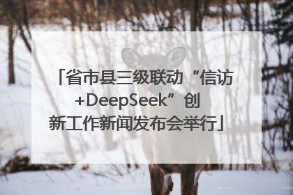 省市县三级联动“信访+DeepSeek”创新工作新闻发布会举行
