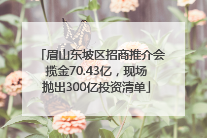 眉山东坡区招商推介会揽金70.43亿，现场抛出300亿投资清单