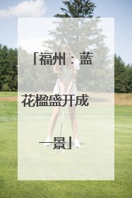 福州：蓝花楹盛开成一景