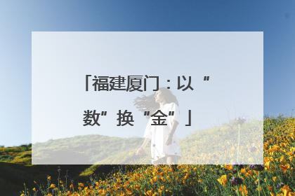 福建厦门：以“数”换“金”