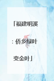 福建明溪：侨乡绿叶变金叶