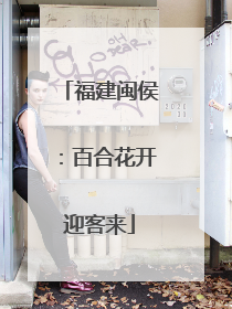 福建闽侯：百合花开迎客来
