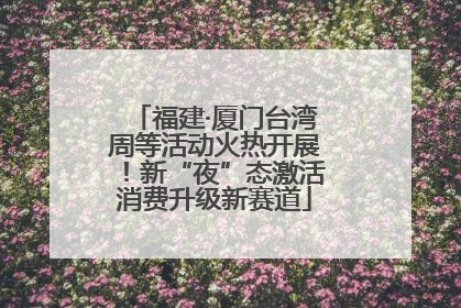 福建·厦门台湾周等活动火热开展！新“夜”态激活消费升级新赛道