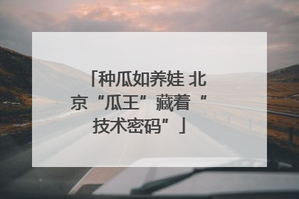 种瓜如养娃 北京“瓜王”藏着“技术密码”