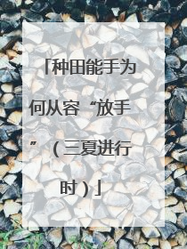 种田能手为何从容“放手”（三夏进行时）