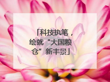 科技执笔，绘就“大国粮仓”新丰景
