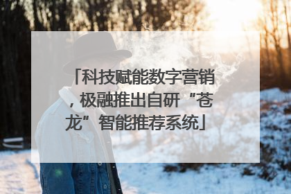 科技赋能数字营销，极融推出自研“苍龙”智能推荐系统