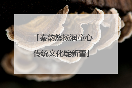 秦韵悠扬润童心 传统文化绽新蕾
