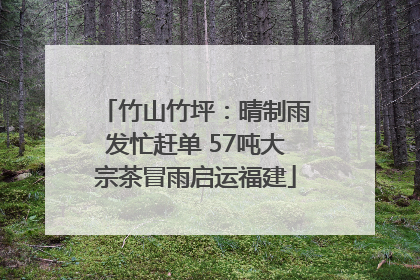 竹山竹坪：晴制雨发忙赶单 57吨大宗茶冒雨启运福建