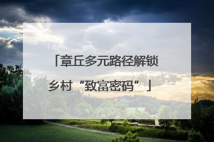 章丘多元路径解锁乡村“致富密码”