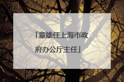 章雄任上海市政府办公厅主任
