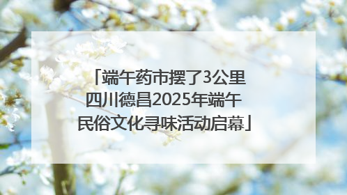 端午药市摆了3公里 四川德昌2025年端午民俗文化寻味活动启幕