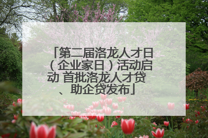 第二届洛龙人才日（企业家日）活动启动 首批洛龙人才贷、助企贷发布