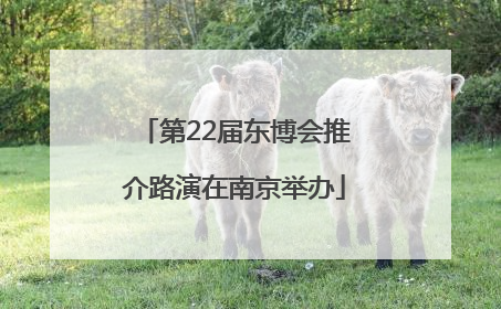 第22届东博会推介路演在南京举办