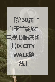 第30届“白玉兰绽放”电视节临港新片区CITY WALK路线
