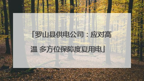 罗山县供电公司：应对高温 多方位保障度夏用电