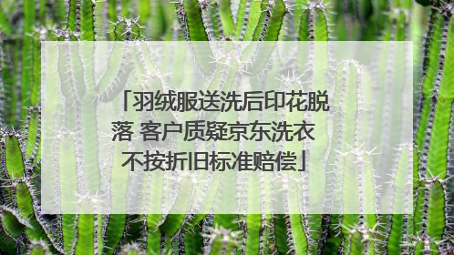 羽绒服送洗后印花脱落 客户质疑京东洗衣不按折旧标准赔偿