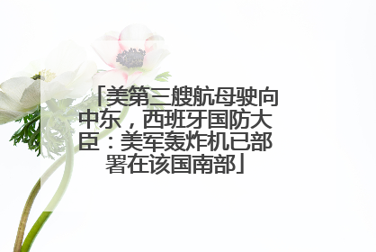 美第三艘航母驶向中东，西班牙国防大臣：美军轰炸机已部署在该国南部