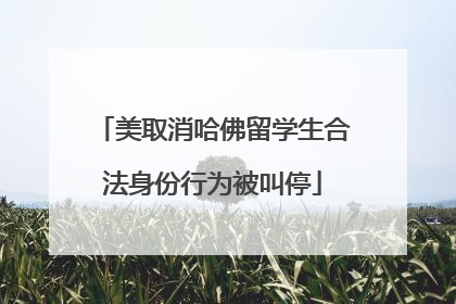 美取消哈佛留学生合法身份行为被叫停