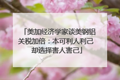美加经济学家谈美钢铝关税加倍：本可利人利己 却选择害人害己