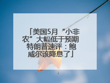 美国5月“小非农”大幅低于预期 特朗普速评：鲍威尔该降息了