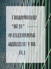 精耕细育促“拔节”——孝昌县思想铸魂锻造实干精兵