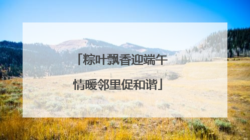 粽叶飘香迎端午 情暖邻里促和谐