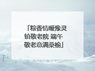 粽香情暖豫灵镇敬老院 端午敬老意满桑榆